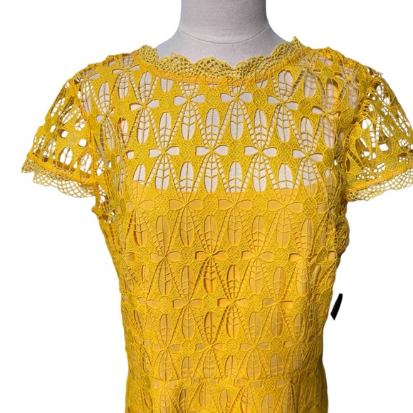 Maggy London Women's Cap Sleeve Yellow Midi Lace Dress with Back V-Neck,  Size 10 - mordernwear.com